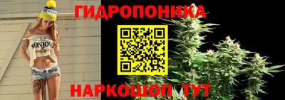 стаф Краснознаменск