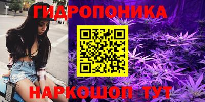 стаф Краснознаменск