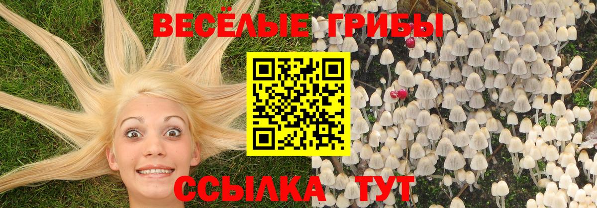 Грязи  Псилоцибиновые грибы Psilocybine cubensis  Вход с VPN  Псилоцибиновые грибы мухоморы 