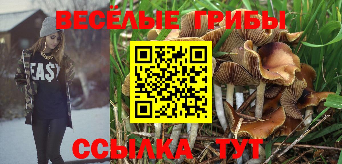 Псилоцибиновые грибы мицелий Грязи
