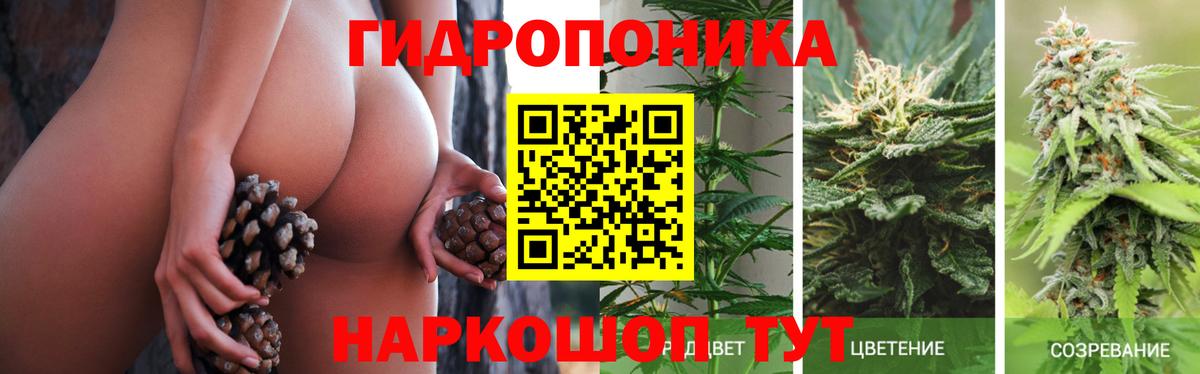 Каннабис VHQ Грязи